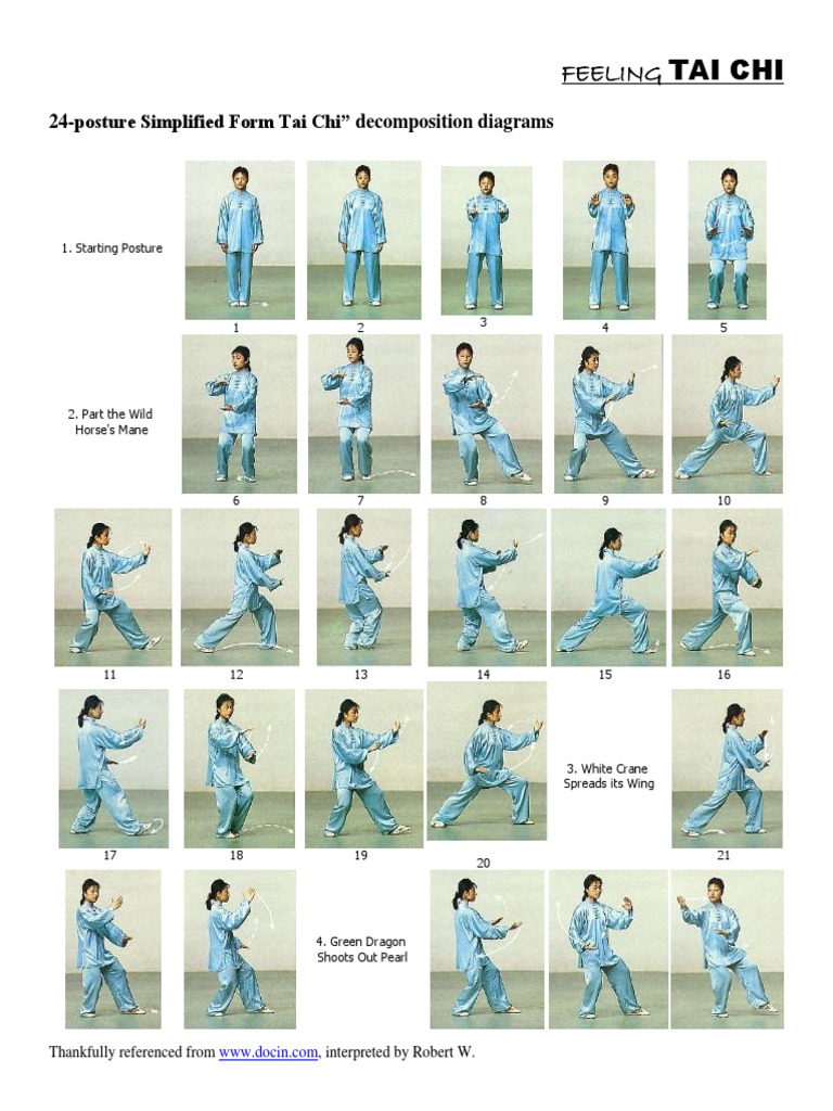 Tai Chi Moves | PDF