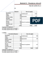 structura Financiara a Intreprinderii