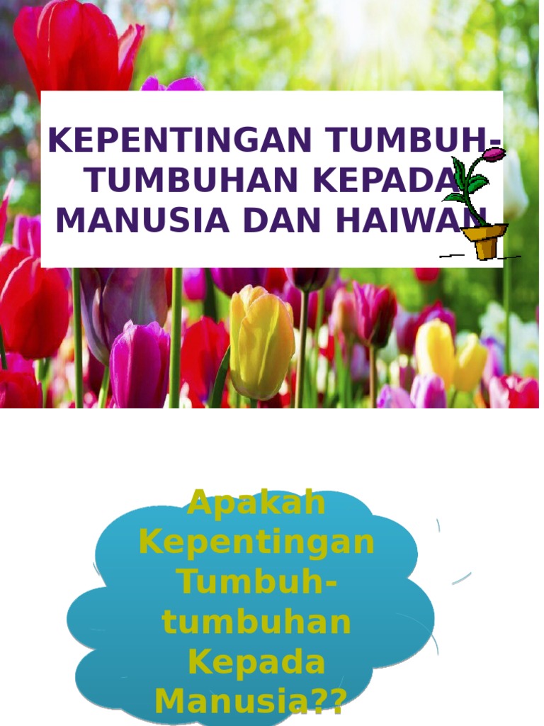 Kepentingan Tumbuh Tumbuhan Pdf