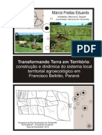 Transformando Terra em Território: construção e dinâmica do sistema local territorial agroecológico em Francisco Beltrão, Paraná