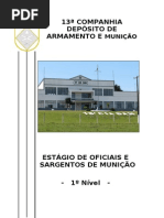  Apostila Estgio of Sgt Mun Set10
