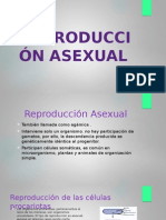 Reproducción Asexual