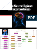 Bases Neurologicas Del Aprendizaje