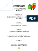 Informe Clara