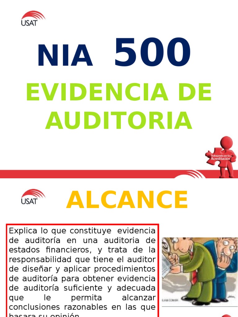 Nia 500 PDF Auditoría financiera Contralor