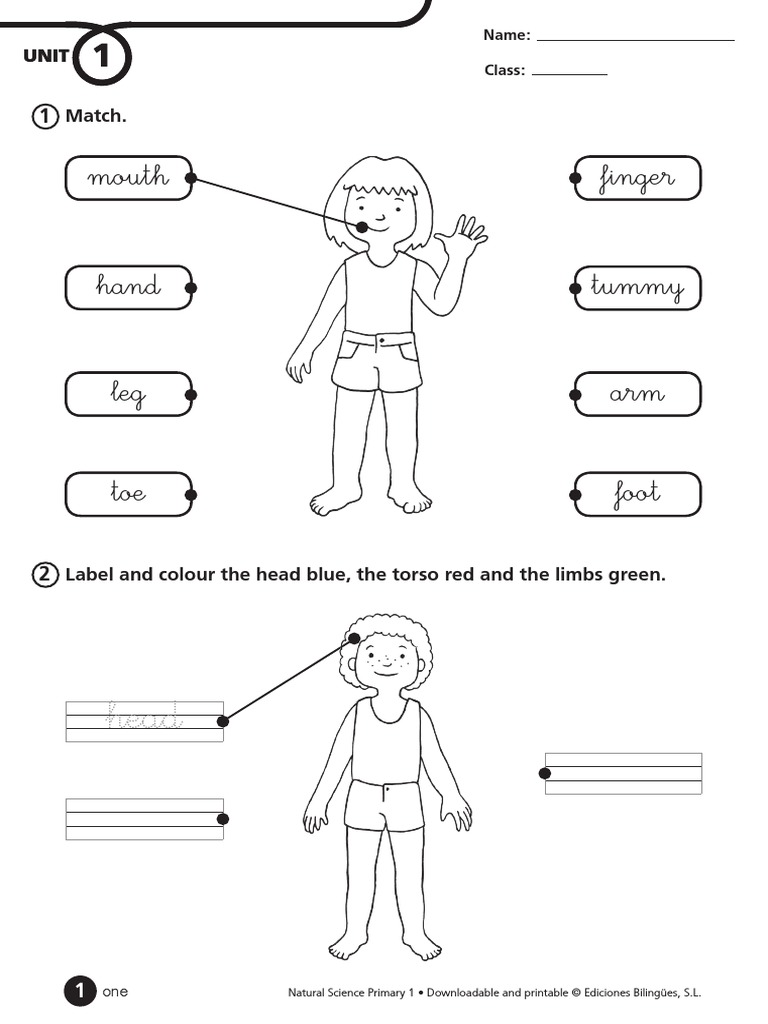 Natural Science 1 Pdf Food And Drink Foods