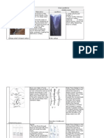 Geog Landforms (1)