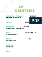 ETAPAS DE LA FOTOSINTESIS.docx