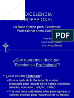 Professional Excellence (Español)