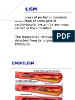 Embolism 1