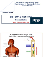 Sistema Digestivo