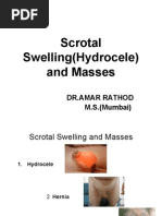 Download Scrotal SwellingHydrocele and Masses by GAURAV SN26978766 doc pdf