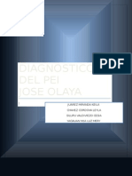 Diagnostico Del Pei Jose Olaya 