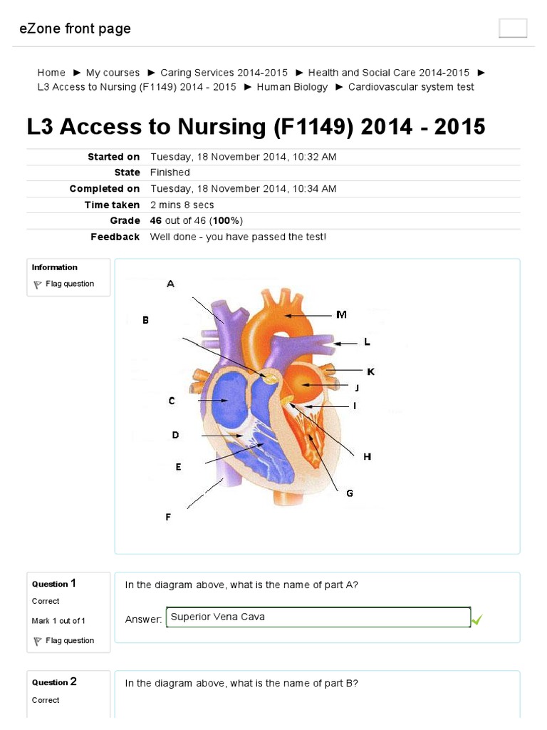 Cardiovascular system test.pdf Artery Vein
