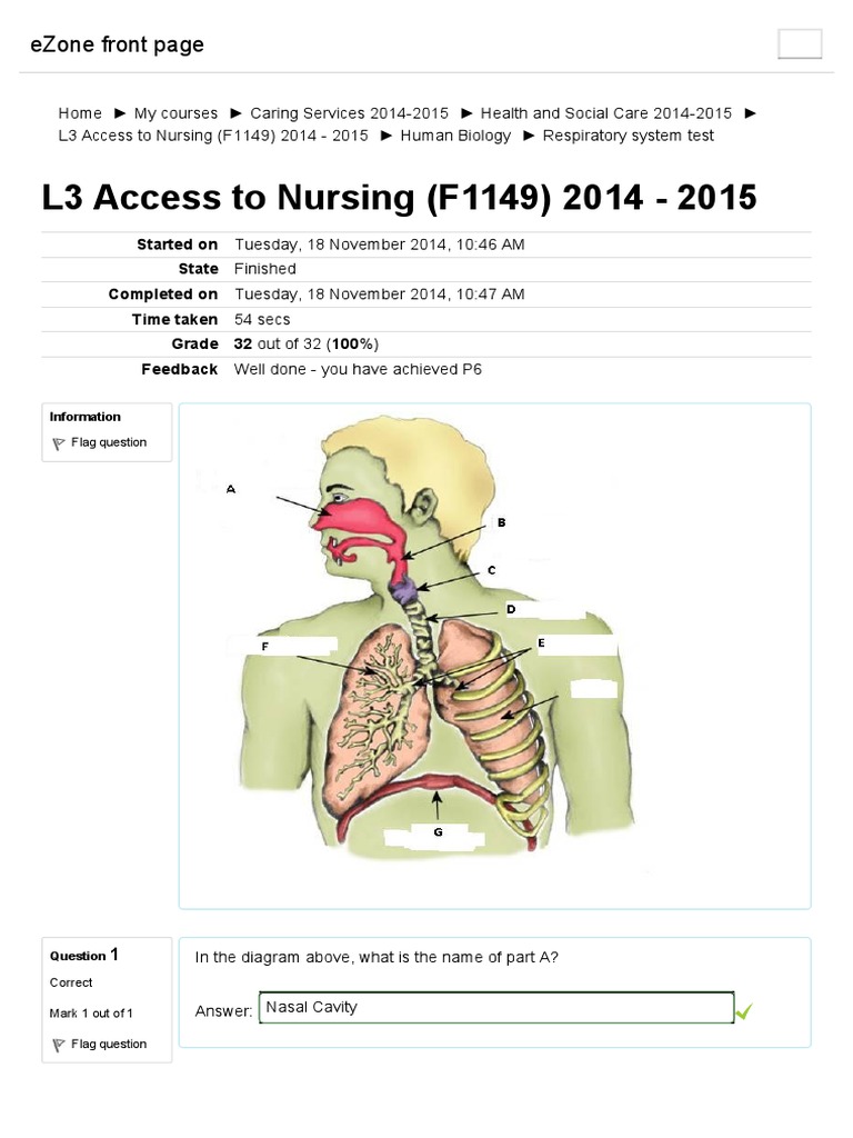 Respiratory system test.pdf Exhalation Breathing