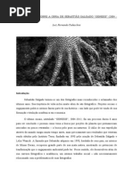 Sebastião Salgado - Ensaio Crítico