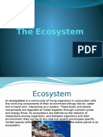 The Ecosystem.pptx