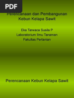 Download 9-Perencanaan Dan Pembangunan Kebun Kelapa Sawit by ZoelpandiZoelpandi SN269824409 doc pdf
