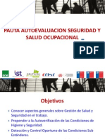 Pauta Autoevaluación SSO