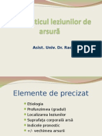 Stagiul 1 Dr Budurca