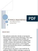 Pinça Magnética