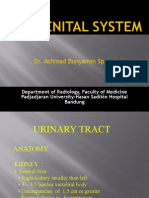 Ultrasonography and Intravenous Urography in Evaluating the Urinary Tract