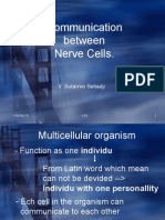 Communication Between Nerve Cells.: V. Sutarmo Setiadji