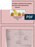Proposal PKL Unggas Sub - Kel I PDF