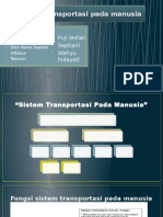 Transportasi Manusia