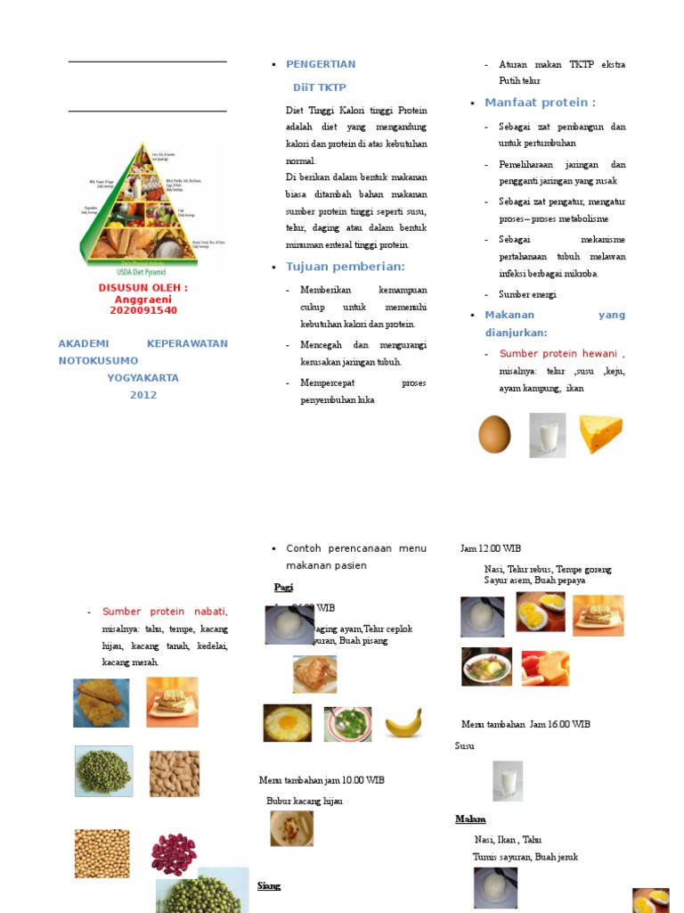 Leaflet Diet Tinggi Energi Tinggi Protein Kemenkes Cara