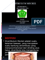 Diventrikulum Meckel