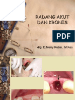 Radang Akut Dan Kronis Pa