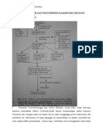 Patofisiologi Dan Patogenesis Karsinoma Prostat