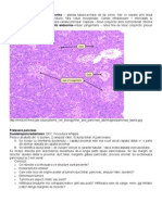 Histologia Pancreasului