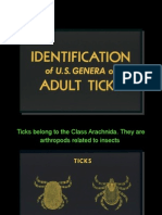 Identification of US Ticks