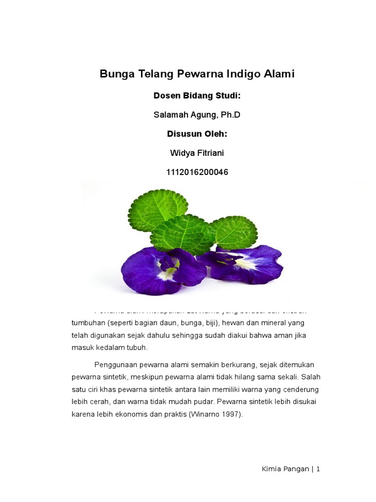 1112021200046 Widya Fitriani Kim 5B Bunga  Telang  Pewarna  