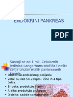 Endokrini Pankreas
