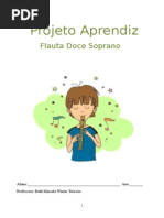 Apostila teórica - flauta doce - projeto aprendiz