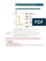 Autonomic DRUGS