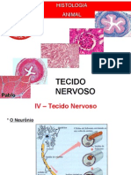 Histologia 04 NERVOSO