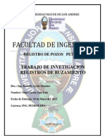 Informe de Perfil de Buzamiento Nina Garcia Jose Luis