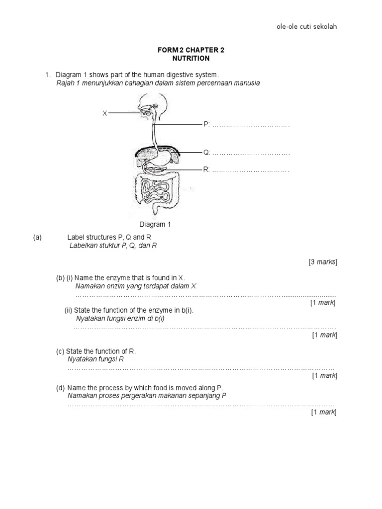 Human Digestive System and Nutrition Guide | PDF | Determinants Of ...
