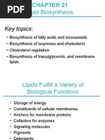 Download Lipid biosynthesisppt by saraniya SN269944863 doc pdf