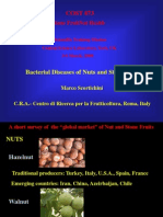 Bacterial Diseases of Nuts and Stone Fruits