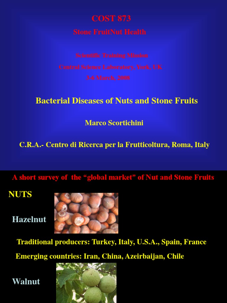 Bacterial Diseases of Nuts and Stone Fruits | PDF | Apricot | Pseudomonas