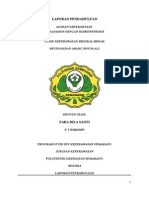 Download LAPORAN PENDAHULUAN HIDRONEFROSISdocx by Faraa Dila Santi SN269951303 doc pdf