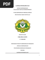 Download LAPORAN PENDAHULUAN HIDRONEFROSISdocx by Faraa Dila Santi SN269951303 doc pdf