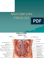 Anafis Pengkajian Penunjang Urinaria PDF