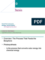 Photosynthesis: Powerpoint Lectures For