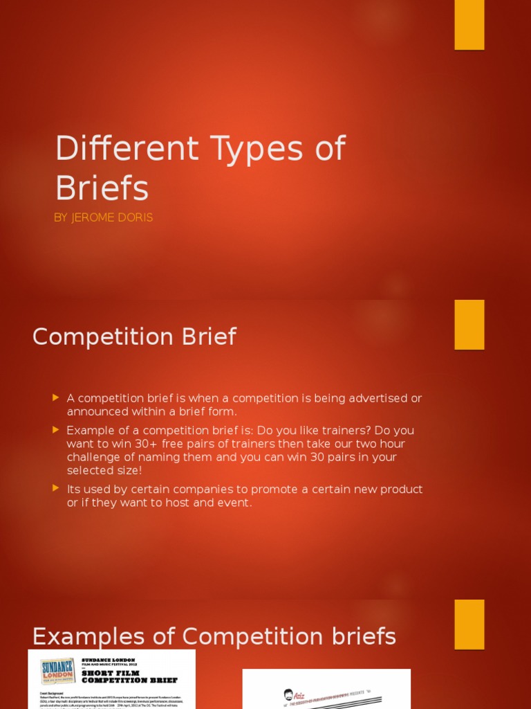 Different Types of Briefs by Jerome Doris PDF Business